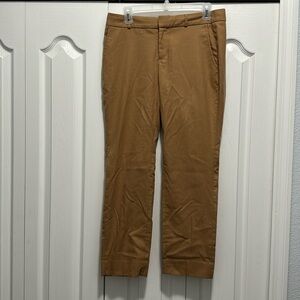 Light Camel Straight Leg Pants (Ryan) Petite Length